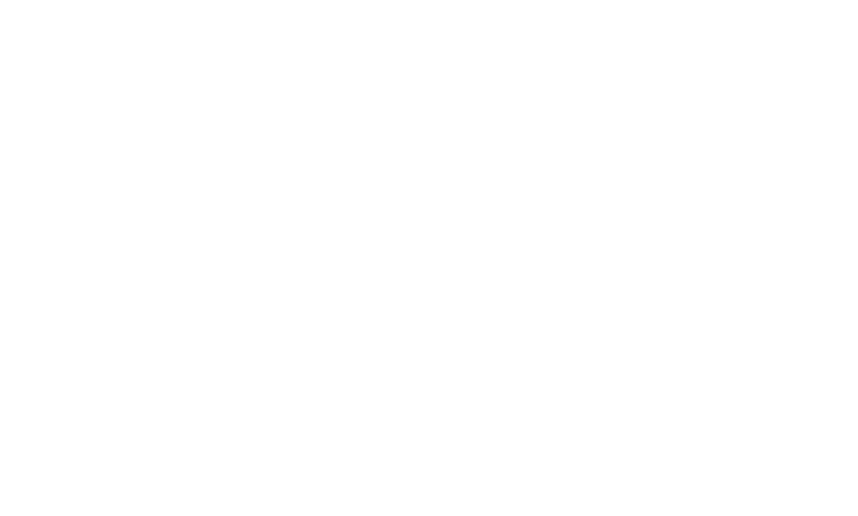 Logo Blady